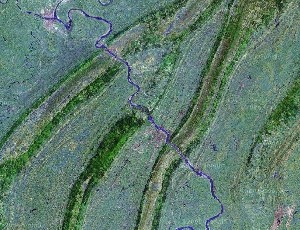 缙云山 - Google卫星照片