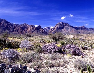 Big Bend National Park