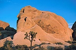 Joshua Tree National Park