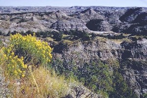 Theodore Roosevelt National Park